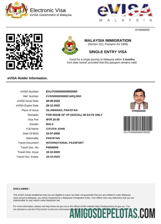 realista Visto E da Malásia em modelo Word e PDF